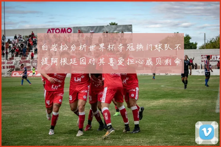 白岩松分析世界杯夺冠热门球队不提阿根廷因对其喜爱担心成贝利命运